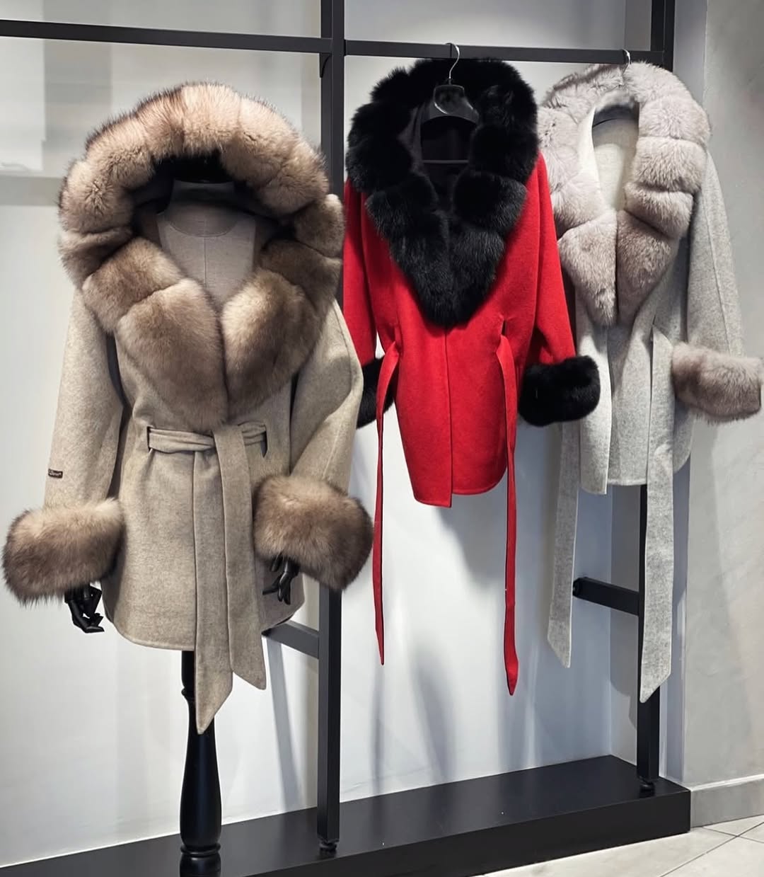 Z⚜️Alpaca/Fox