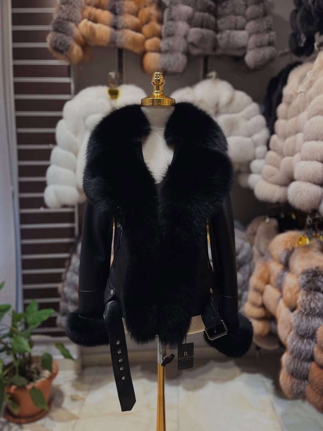 .⚜️Fox Leather Jacket