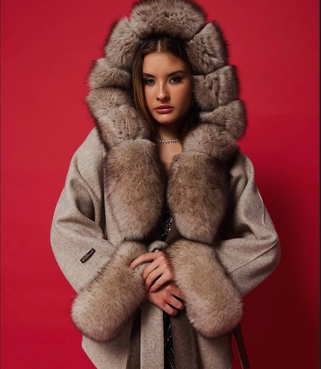 Z⚜️Alpaca/Fox