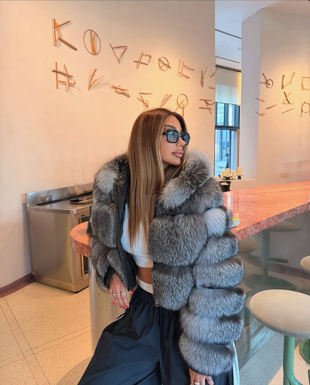 .NEW⚜️Silver Frost Fox