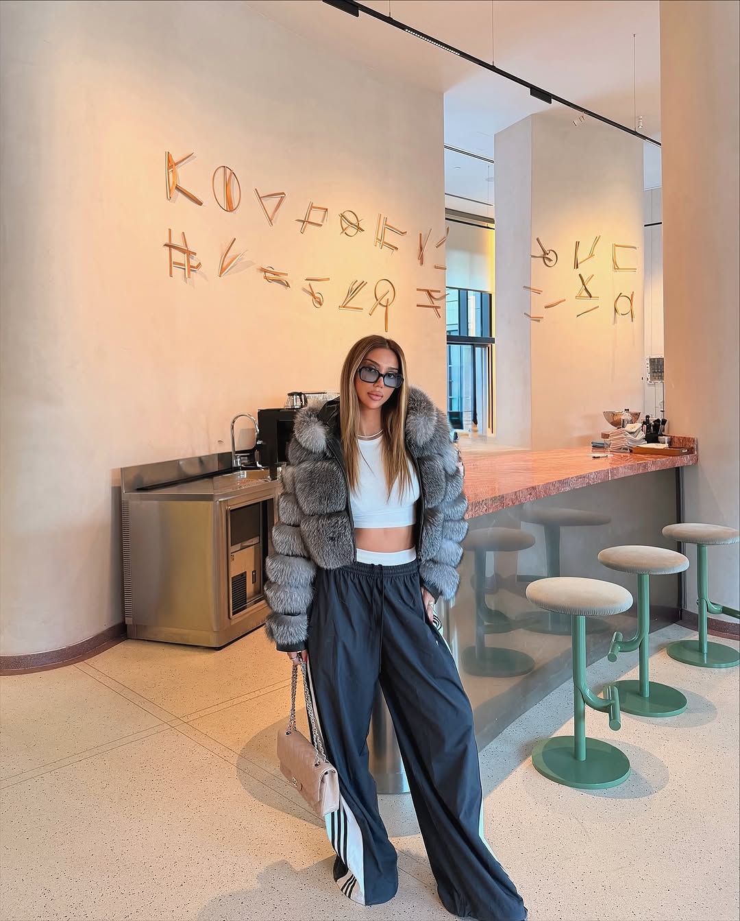 .NEW⚜️Silver Frost Fox