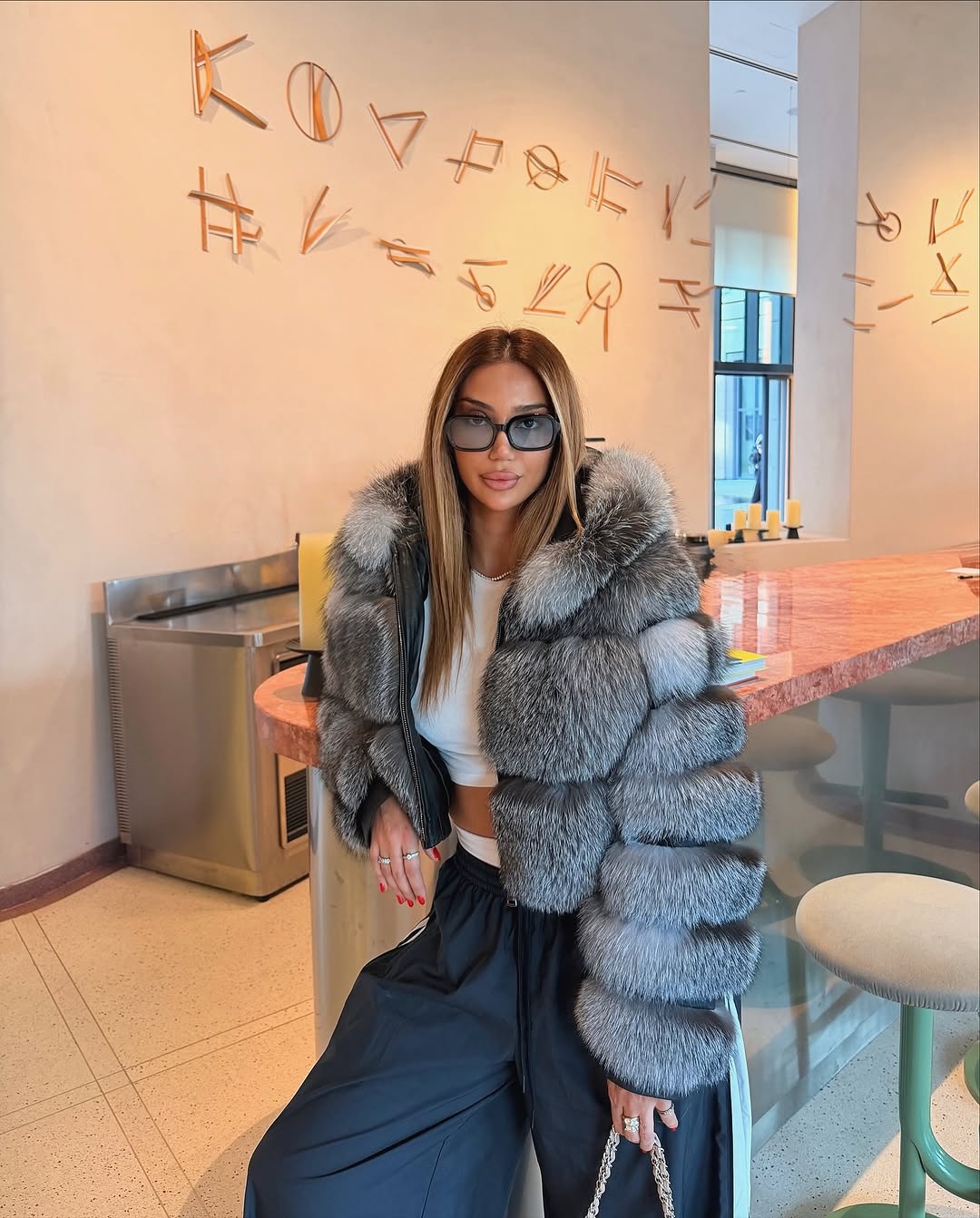 .NEW⚜️Silver Frost Fox