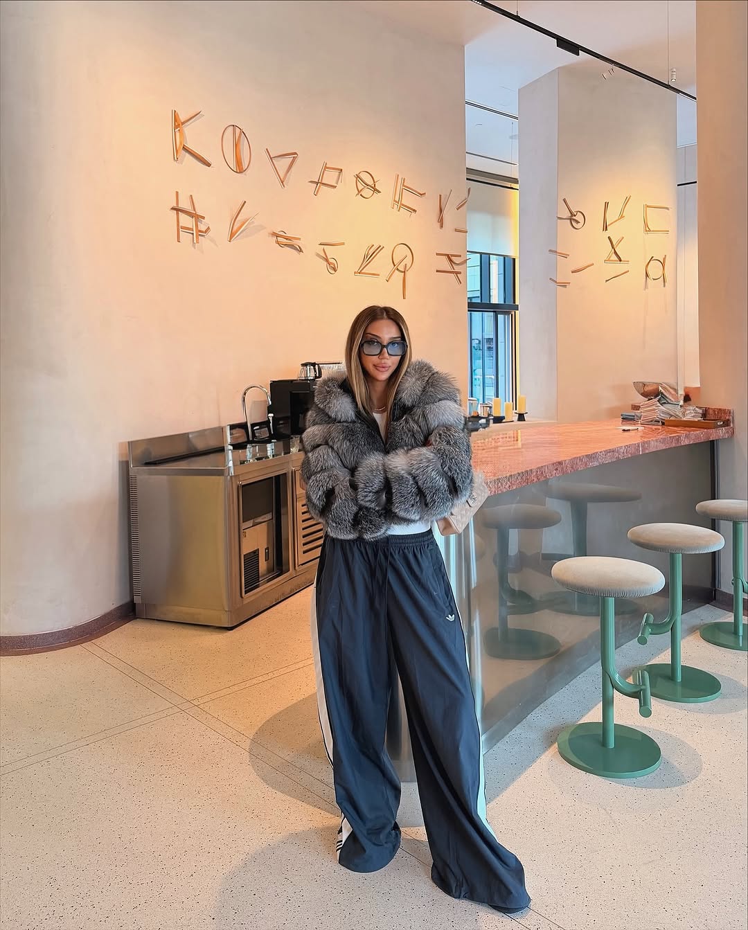 .NEW⚜️Silver Frost Fox