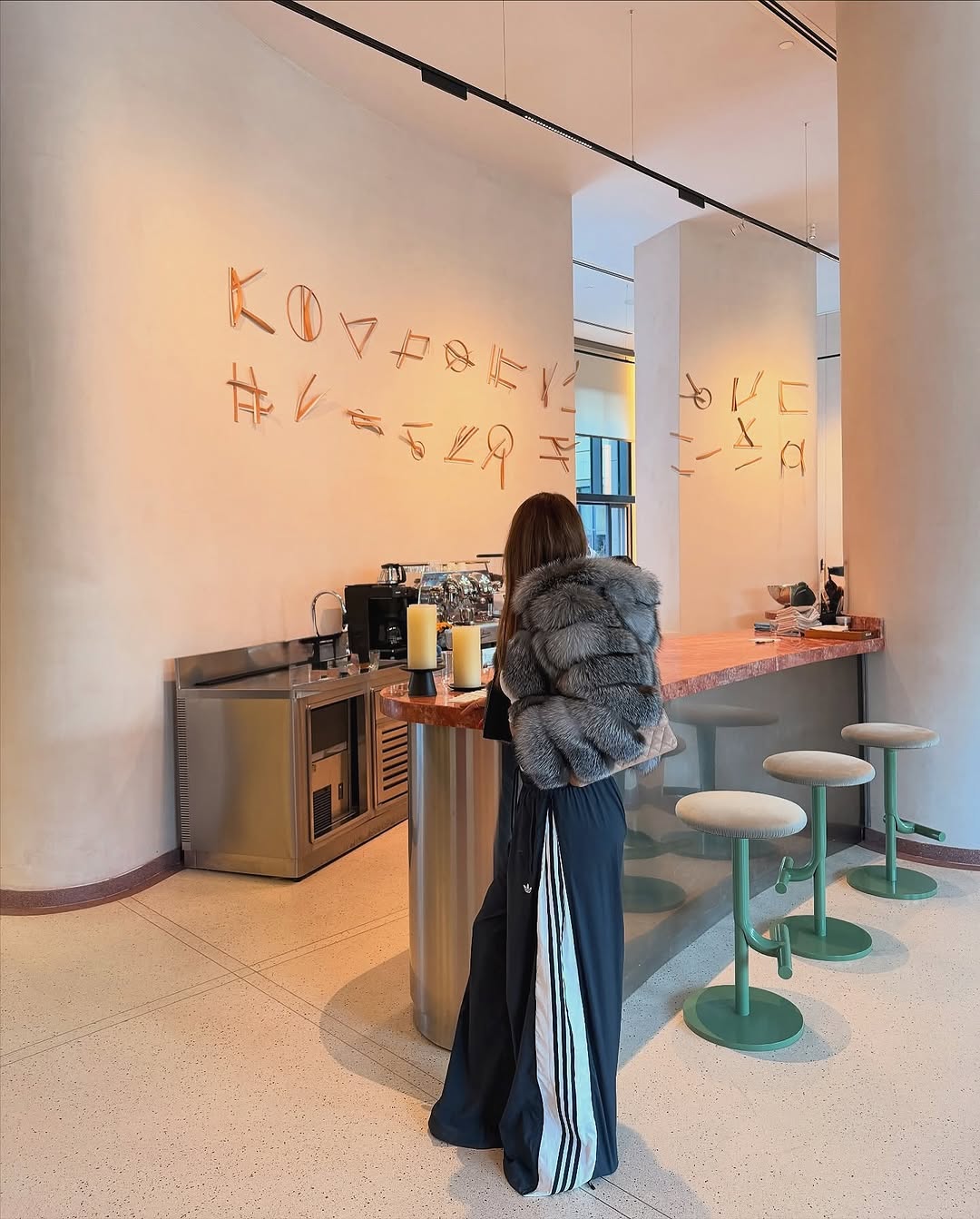 .NEW⚜️Silver Frost Fox