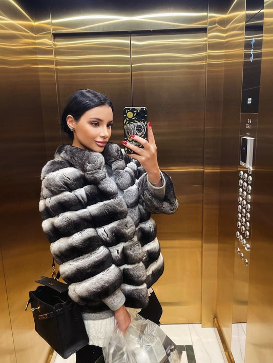 .NEW⚜️Rex Chinchilla